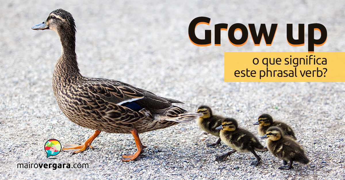 Qual é a diferença entre Grow e Grow Up? - Mairo Vergara