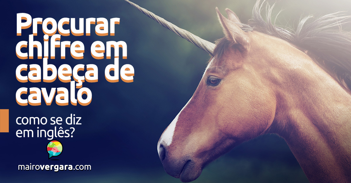 Chifre em Cabeça de Cavalo