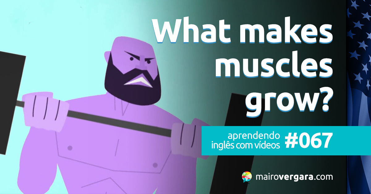 Qual é a diferença entre Grow e Grow Up? - Mairo Vergara